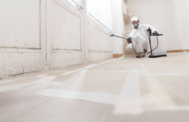 24/7 Emergency Mold Remediation experts in Tarpon Springs, FL