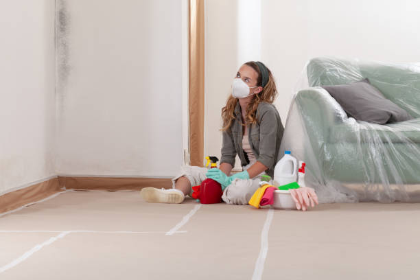 Reliable Mold Remediation contractor in Tarpon Springs, FL by 24 Hour Mold Removal